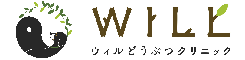 オンライン相談 セミナー ウィルどうぶつクリニック オンライン相談 セミナー ウィルどうぶつクリニック